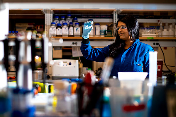 bajpayee looking at a vial in her lab