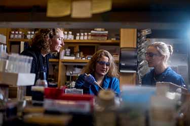 three professor in blue lab coats discuss research in lab