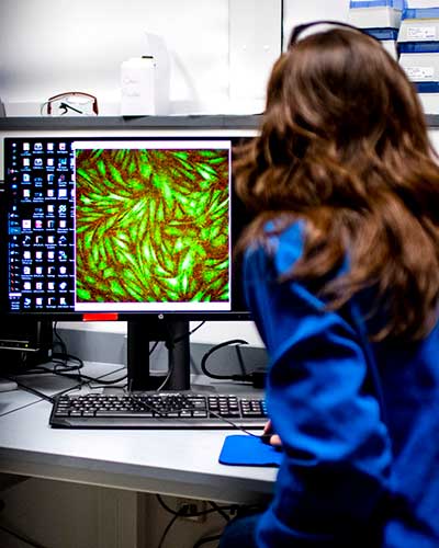 A student looks at a monitor with an image of high-res cells.