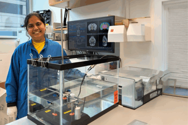 Bioengineering, Master's, MS, Degree - Northeastern University
