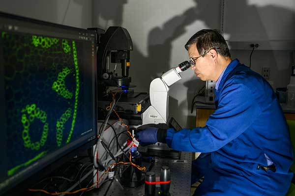 Image for Unlocking the Secrets of Cellular Memory